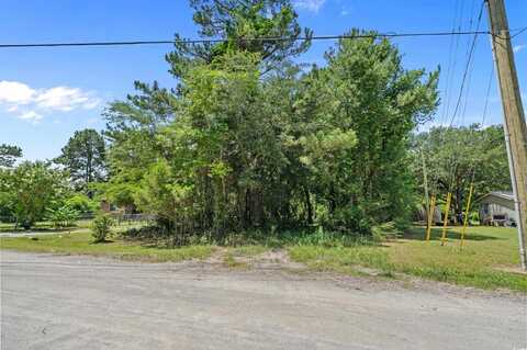 286 Norris Rd., Loris, SC 29569