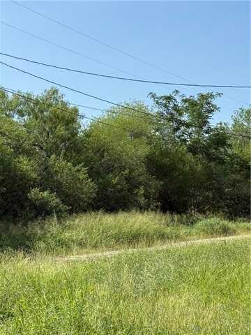 undefined, Alice, TX 78342