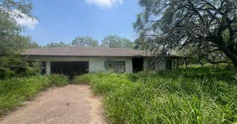 undefined, Ricardo, TX 78363