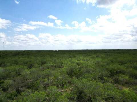16 San Diego Creek Tract, San Diego, TX 78384