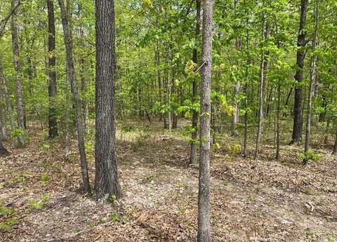 32 BEC LN #32, Bella Vista, AR 72714