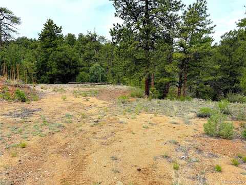 TBD County Road 28, Cotopaxi, CO 81223