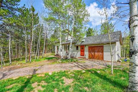 101 Campbell Road, Bailey, CO 80421