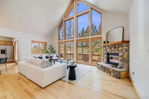 84 Thurber Court, Fairplay, CO 80440