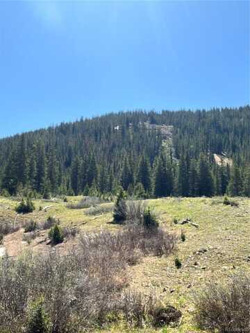 2711 Forest Queen MC, Buena Vista, CO 81211