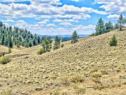 243 June Lane, Hartsel, CO 80449