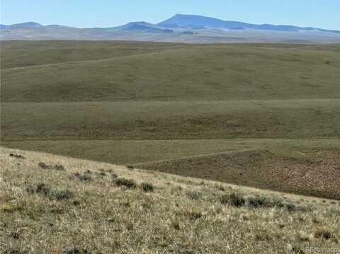 96 Angus Circle, Hartsel, CO 80449
