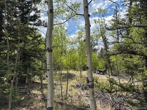 514 Chief Trail, Como, CO 80432