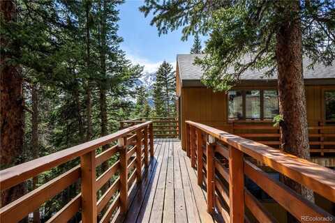 307 Lakeview Drive, Alma, CO 80420