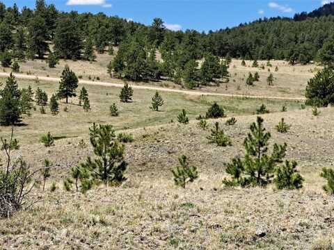 744 Julia Road, Guffey, CO 80820