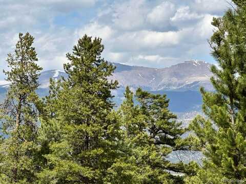 30385 National Forest Drive, Buena Vista, CO 81211