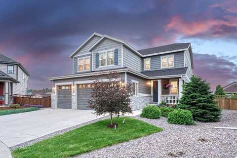 6470 Amur Court, Castle Rock, CO 80108