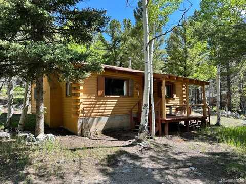 22560 County Road 292 A, Nathrop, CO 81236
