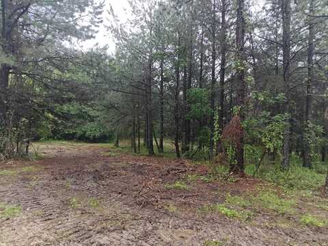 0 James Hale Road, Jackson, OH 45640