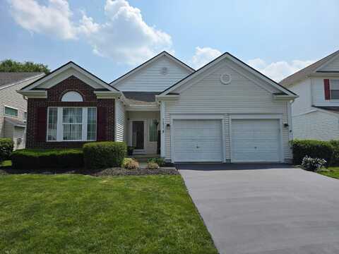 7231 Winterbek Avenue, New Albany, OH 43054