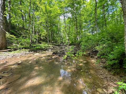 0 Buchanan Road, Waverly, OH 45690