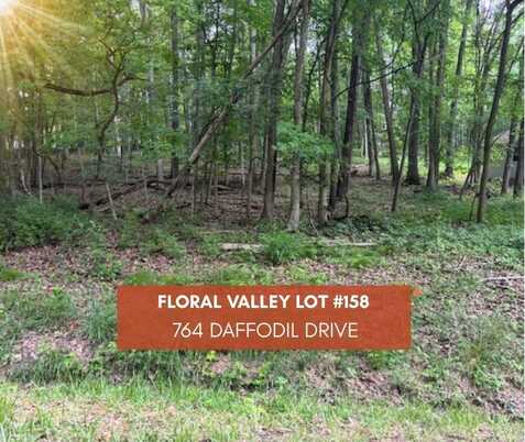 674 Daffodil Drive, Howard, OH 43028