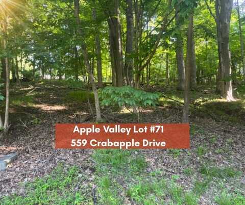 559 Crabapple Drive, Howard, OH 43028