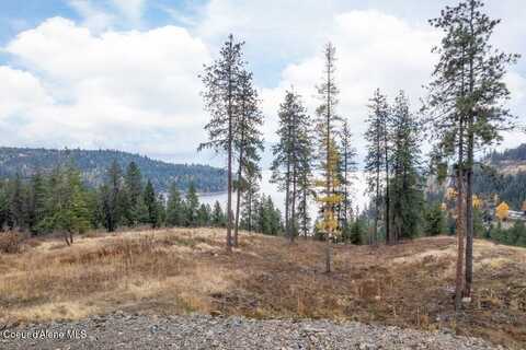 Nna Red Hawk Landing, Sagle, ID 83860