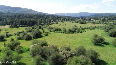 29251 Highway 6, Saint Maries, ID 83861