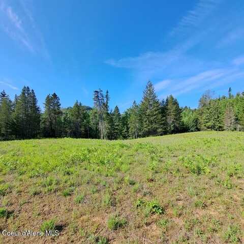 Nka Otter Lane, Bonners Ferry, ID 83805