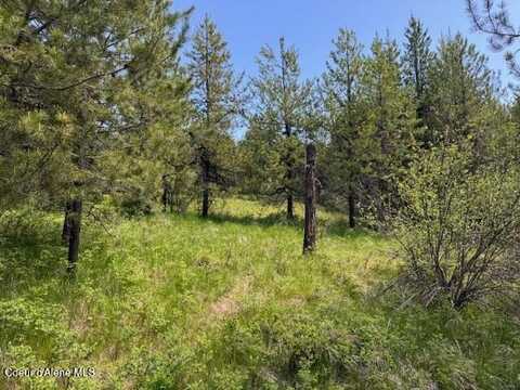 630 Willow Loop, Fernwood, ID 83830