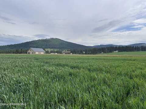 783 Lot D Old Mills Rd, Desmet, ID 83824