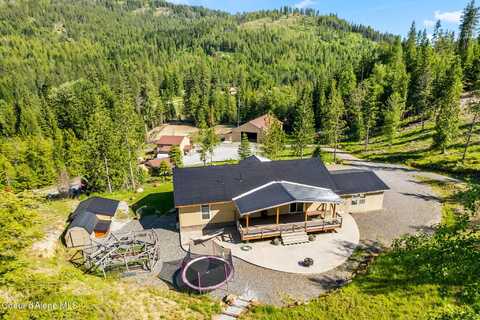 1446 Sagle Creek Rd, Sagle, ID 83860