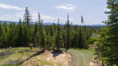 923 Sportsman Rd, Saint Maries, ID 83861