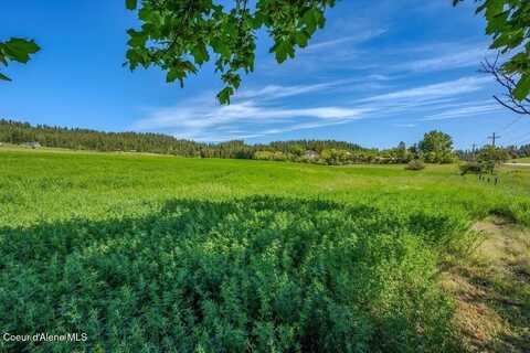 L1b1 W Limits Ln, Coeur D Alene, ID 83814