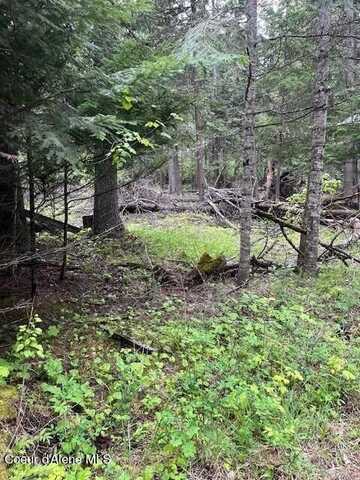 318 Lakeview Dr, Bayview, ID 83803