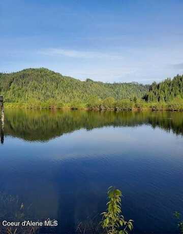 997 W Riverside Dr, Saint Maries, ID 83861