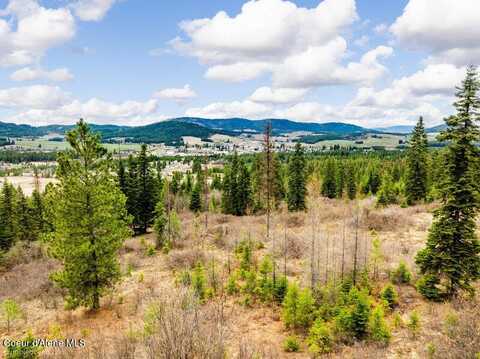 497 Thimbleberry Lane, Plummer, ID 83851
