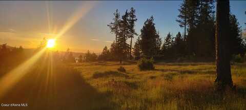 Nka Lisa Rd North 20, Harrison, ID 83833