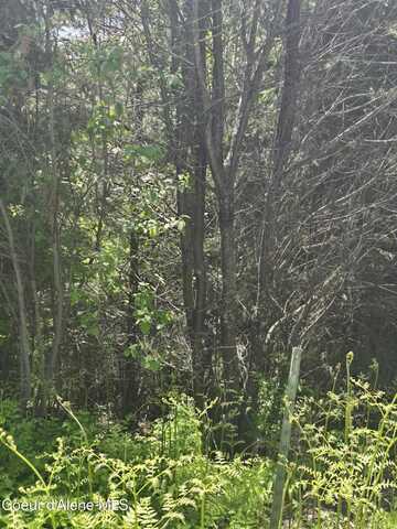 1200 Alpine Dr, Fernwood, ID 83830