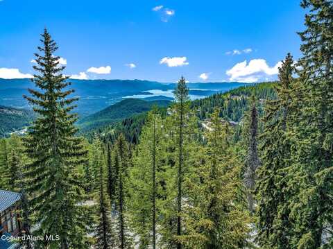 B1 L5 Tall Timber, Sandpoint, ID 83864