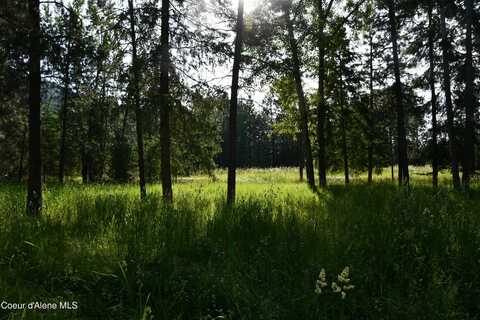 100 Vets Rd, Pinehurst, ID 83850