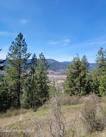 29532 Clark Creek Rd., Medimont, ID 83842