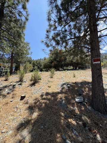 5236 Desert View Drive, Wrightwood, CA 92397