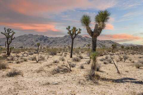 124 Drexel Road, Joshua Tree, CA 92252
