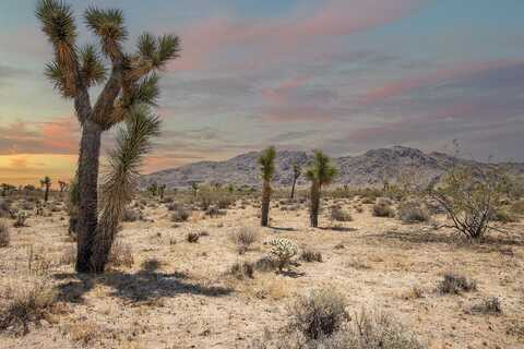 125 Drexel Road, Joshua Tree, CA 92252