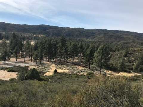 1 Butterfly Peak Road, Mountain Center, CA 92561