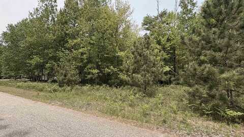 12090 Lila, Stanwood, MI 49346