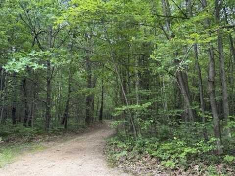 2854 N Lakeshore, Gladwin, MI 48624