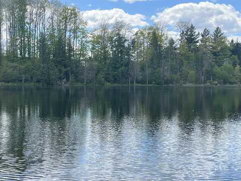 V/L 8046 Wallace, Lake, MI 48632