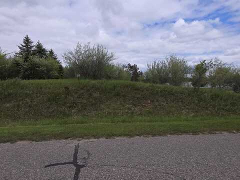 Lot 106 Manchester, Gladwin, MI 48624