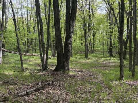 Lots 383, 384 Dogwood, Farwell, MI 48622