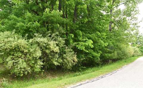 Lot 271 Islanders, Gladwin, MI 48624