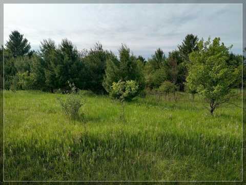 Lot 25 Winchester, Butman, MI 48624