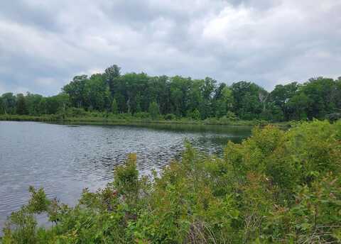 Parcel 1 Simpson, Harrison, MI 48625